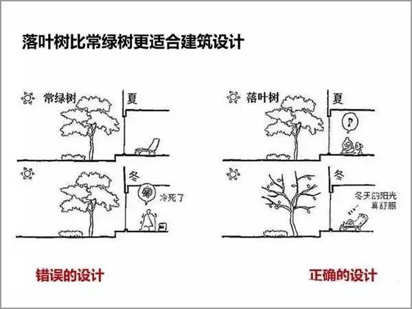 香港正版资料原版资料