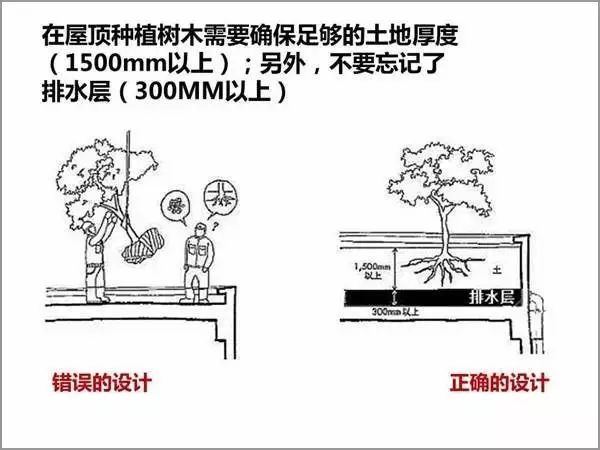 香港正版资料原版资料