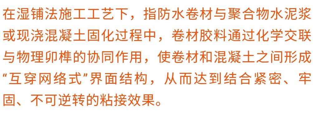 香港正版资料原版资料