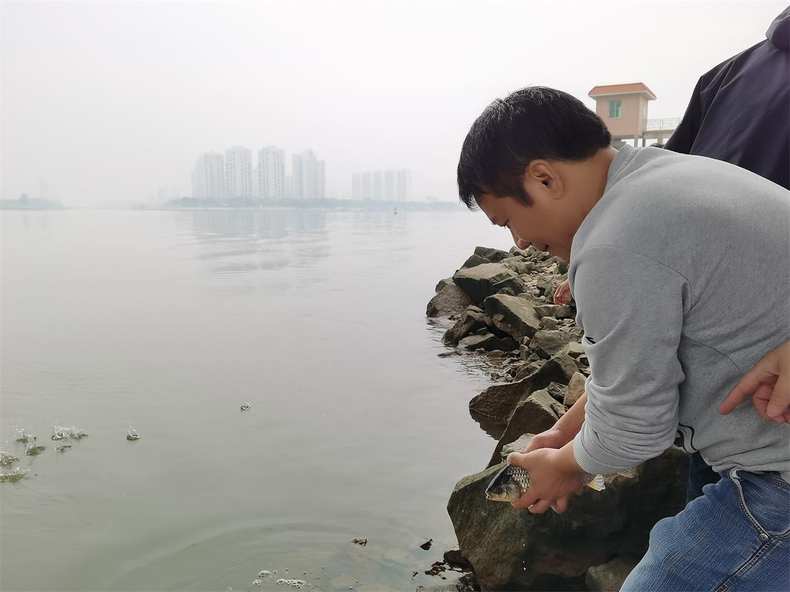香港正版资料原版资料