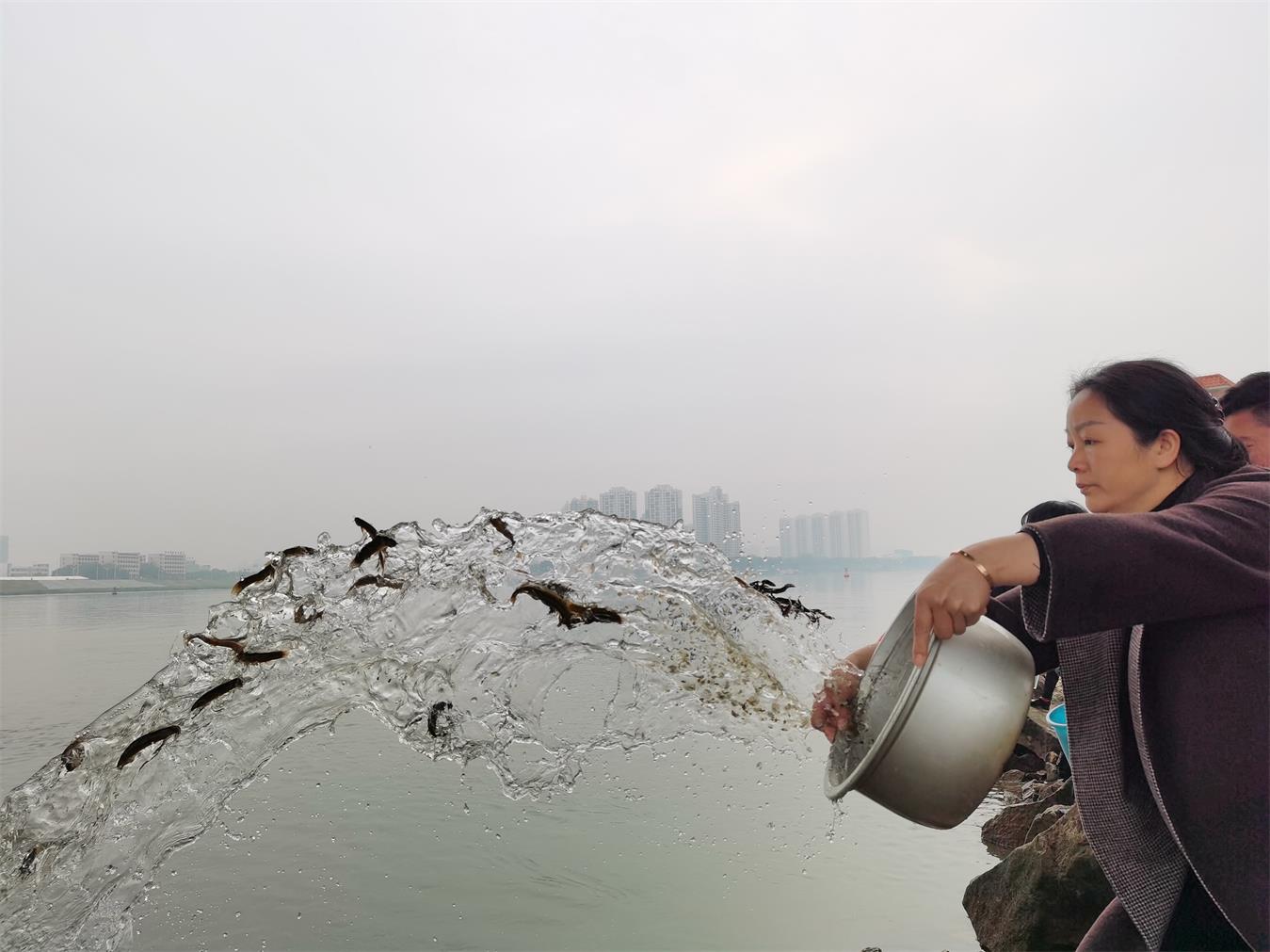 香港正版资料原版资料
