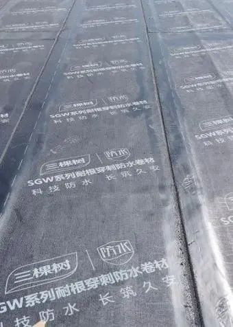 香港正版资料原版资料