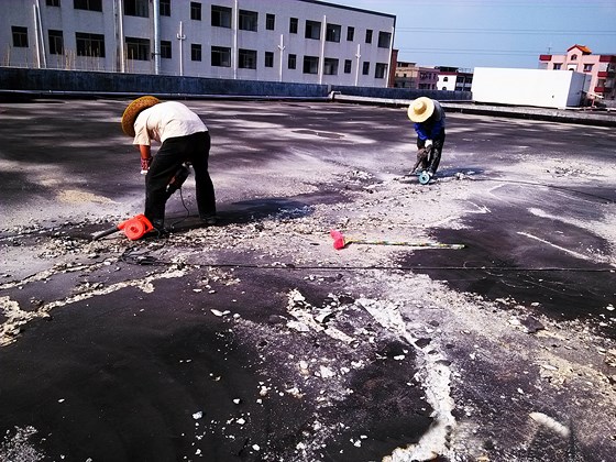 香港正版资料原版资料