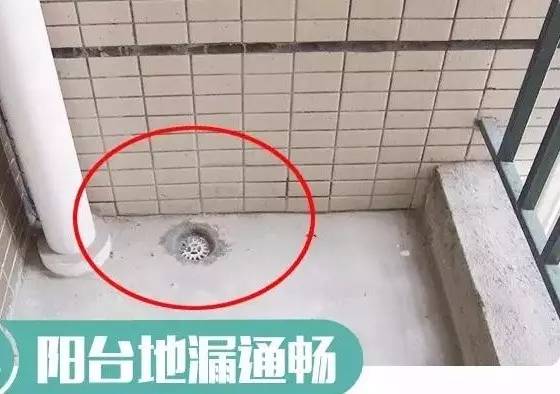香港正版资料原版资料