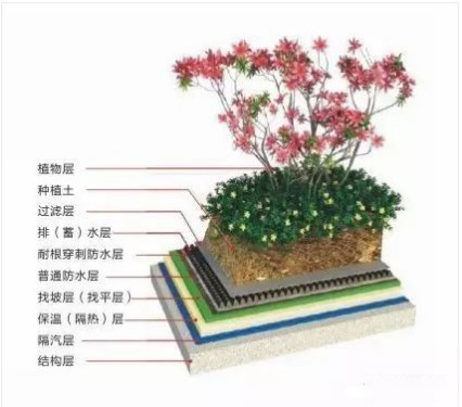 香港正版资料原版资料