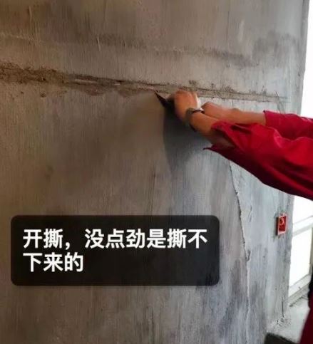 香港正版资料原版资料