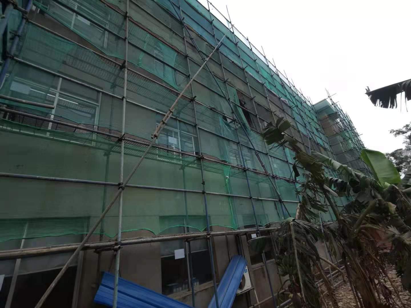 香港正版资料原版资料