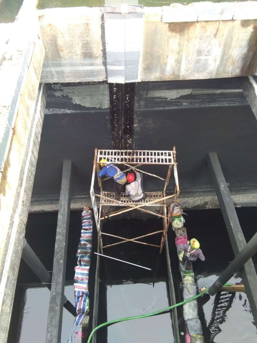 香港正版资料原版资料