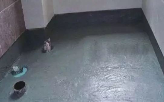 香港正版资料原版资料
