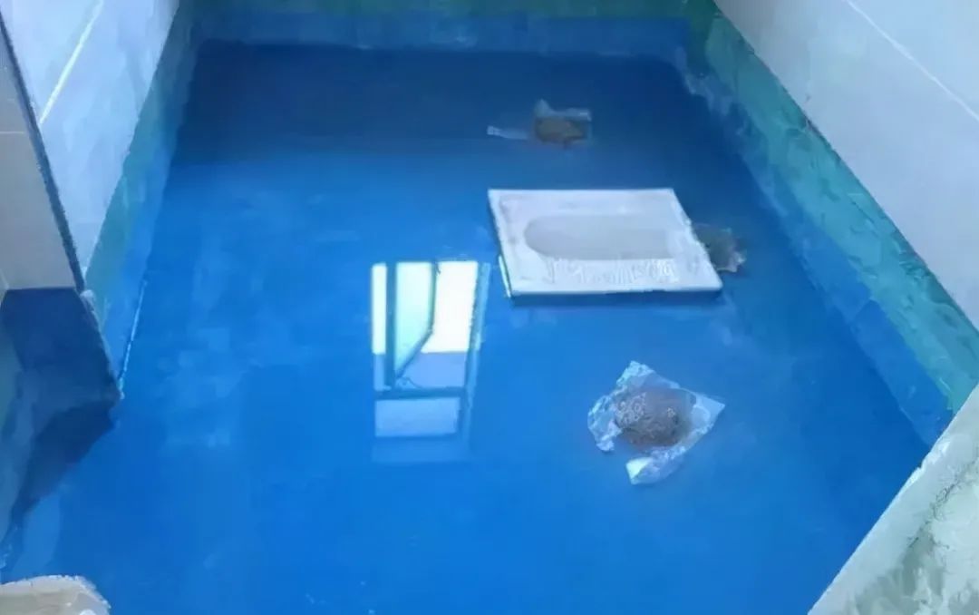 香港正版资料原版资料