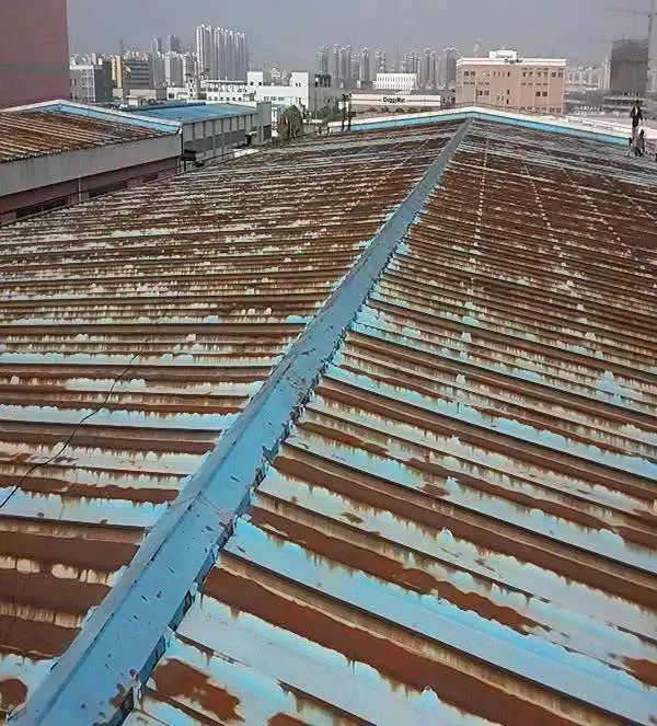 香港正版资料原版资料