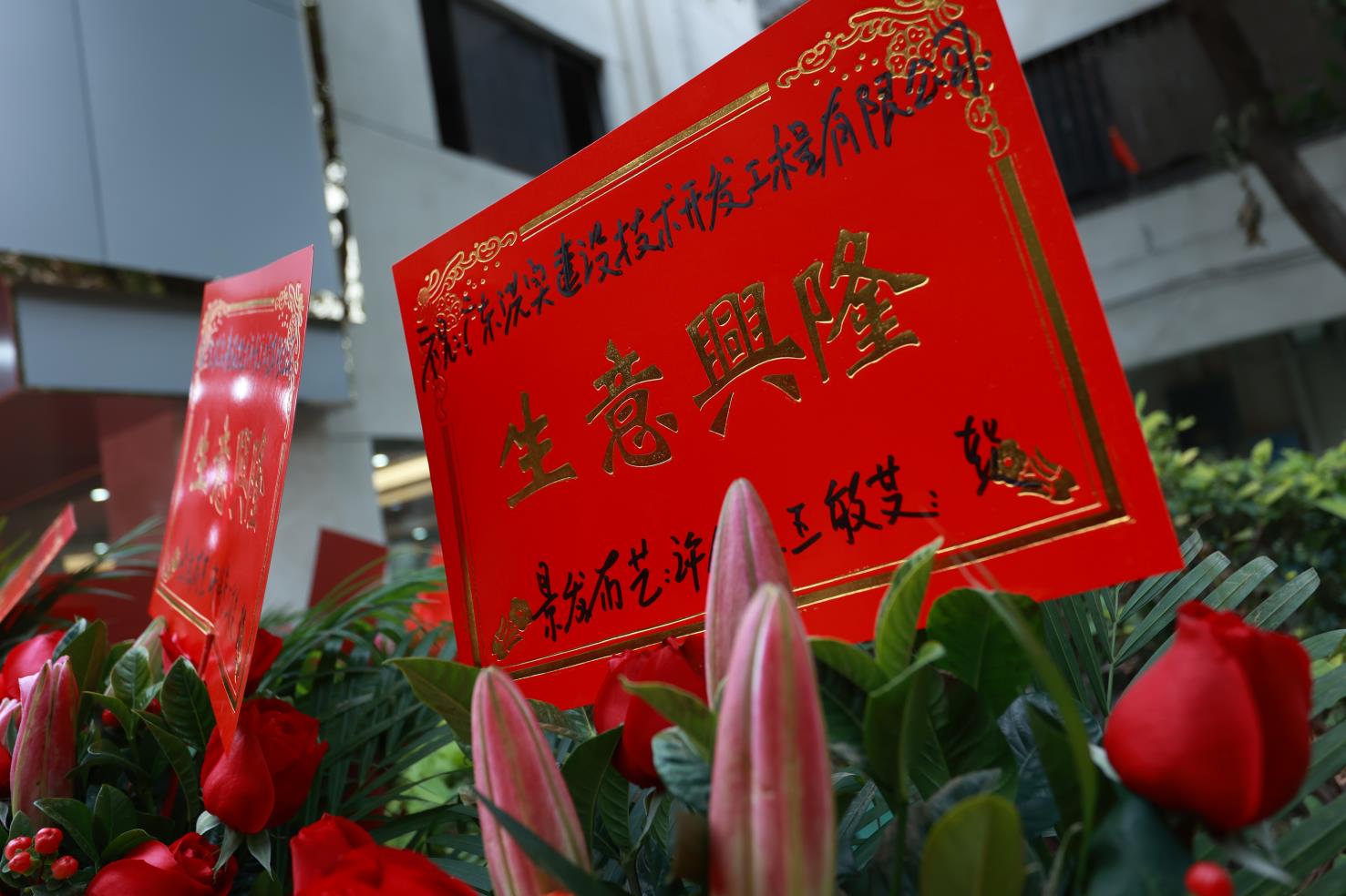 香港正版资料原版资料