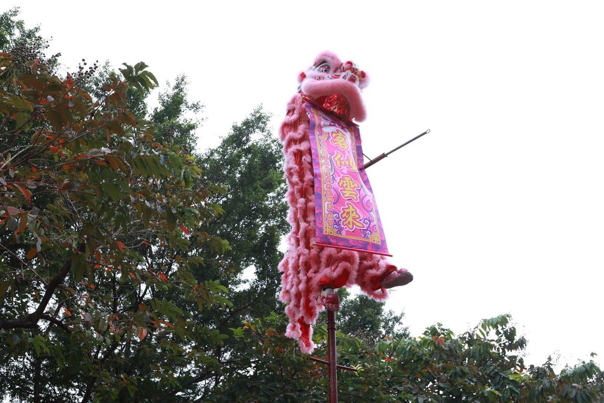 香港正版资料原版资料