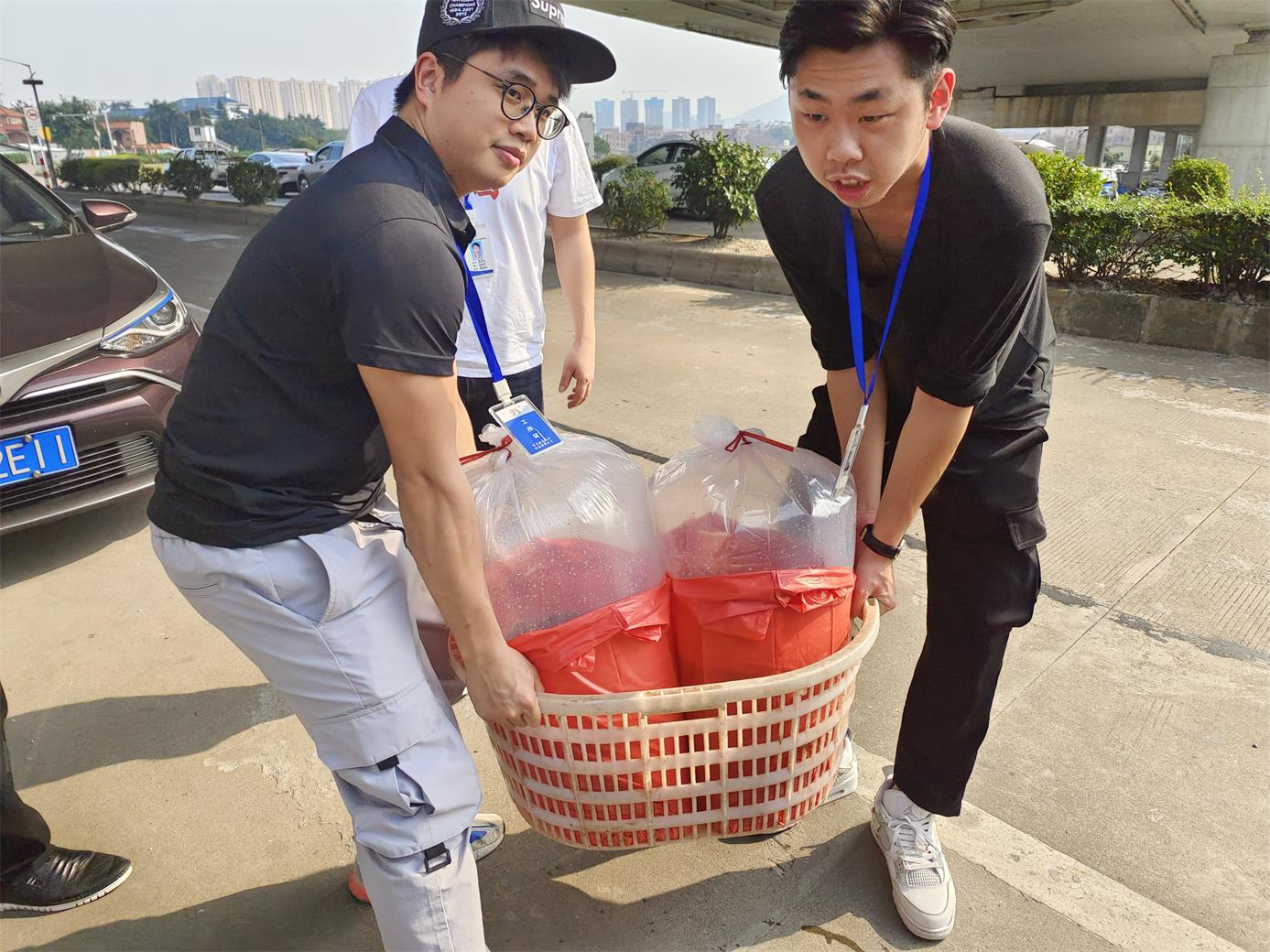 香港正版资料原版资料