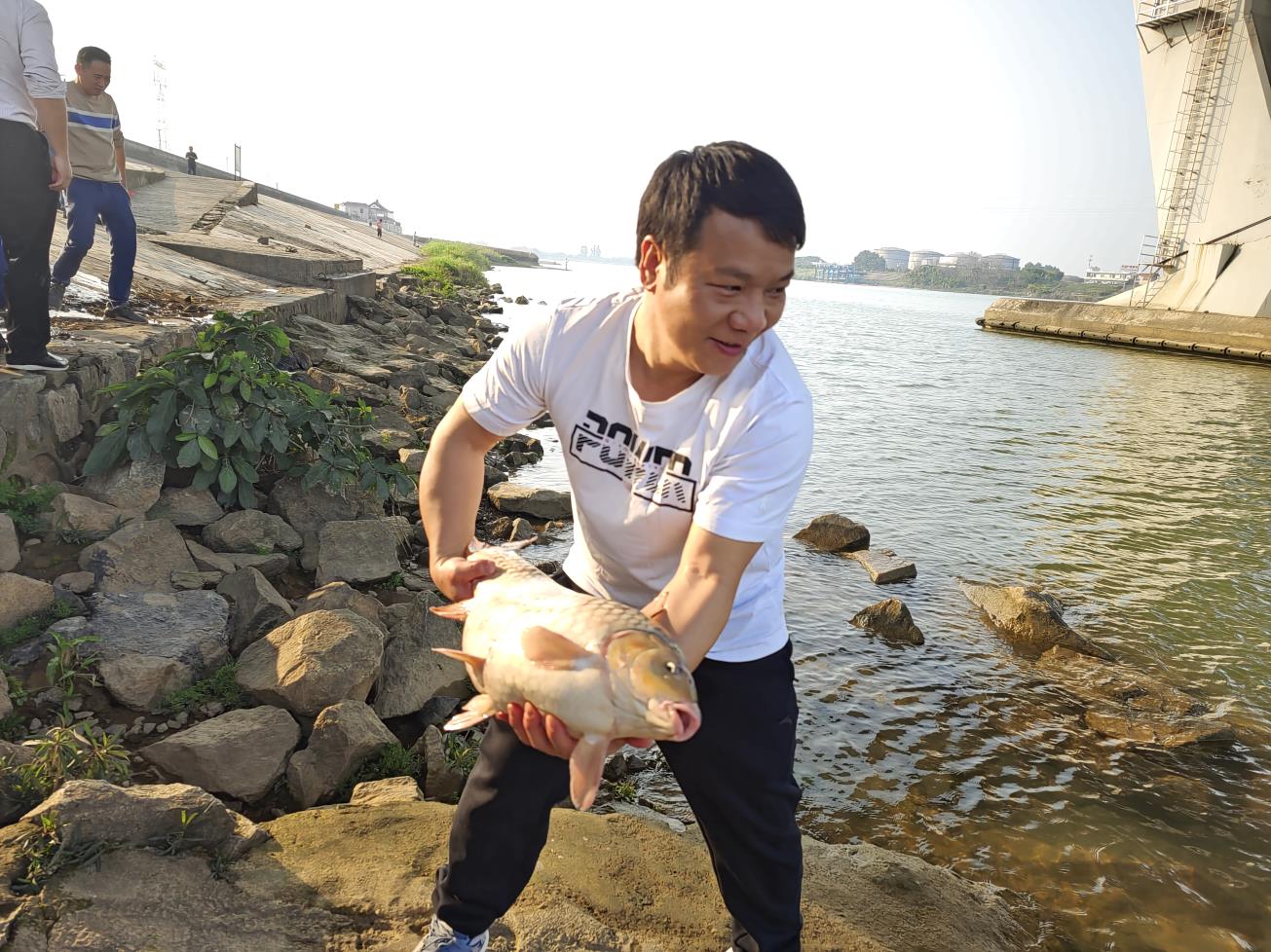 香港正版资料原版资料