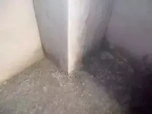香港正版资料原版资料