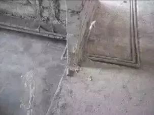 香港正版资料原版资料