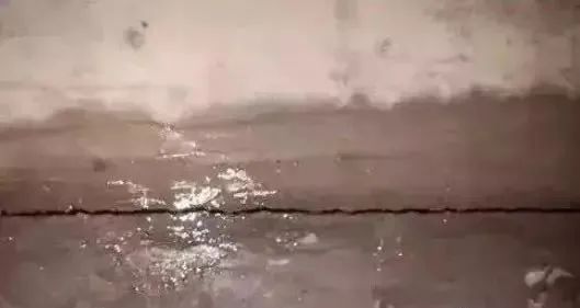 香港正版资料原版资料